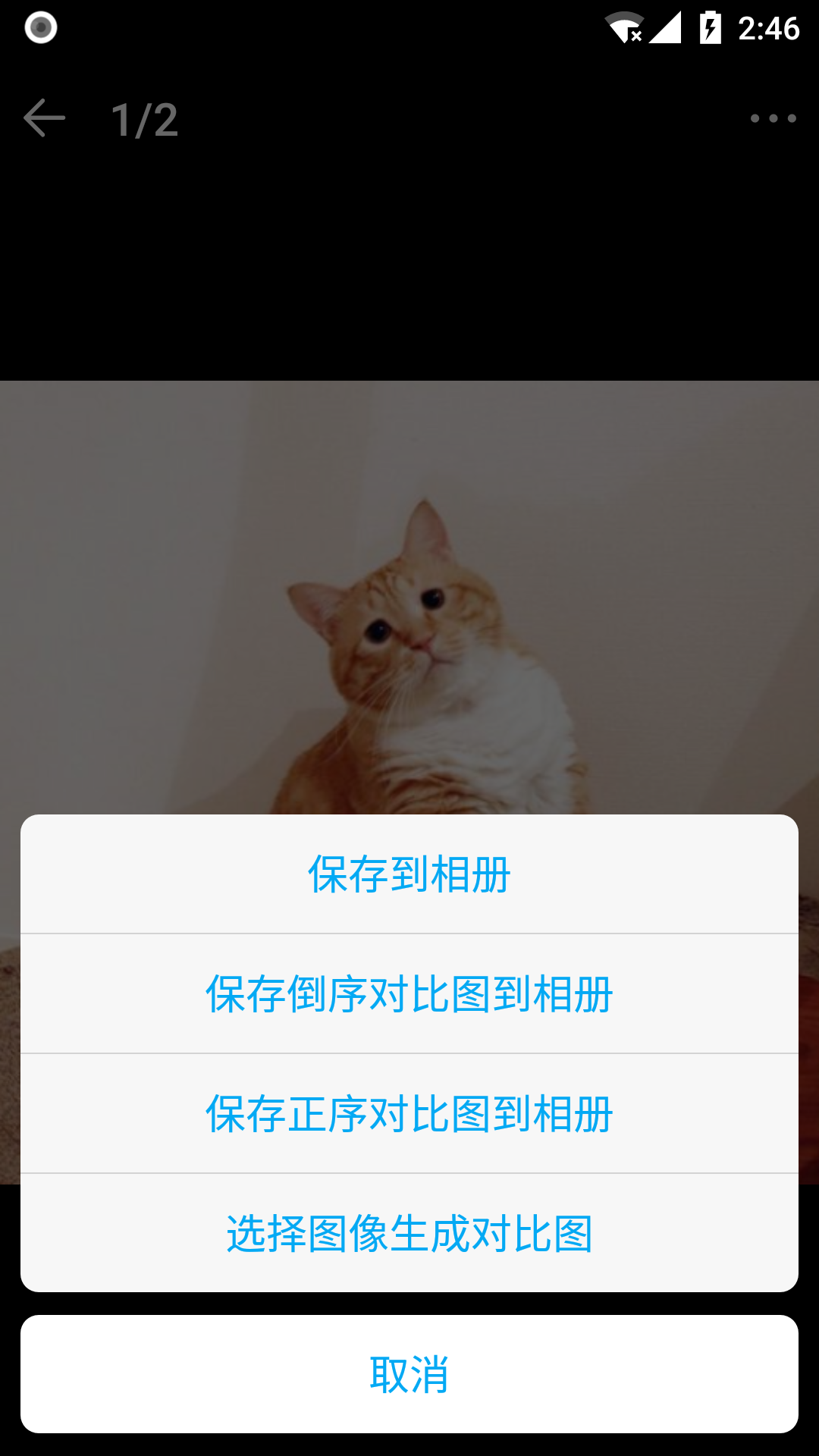 猫咪成长记v1.8.4截图3