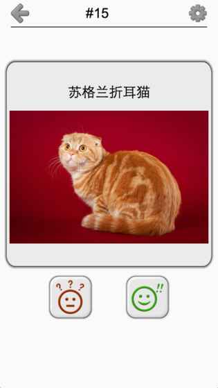 猫品种问答截图1