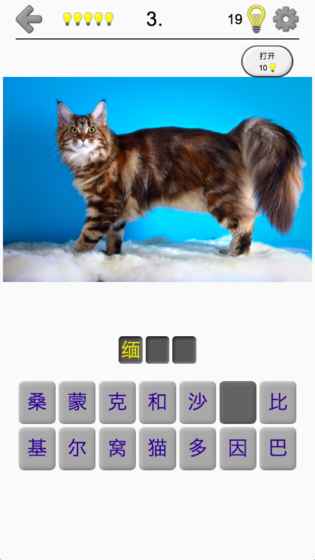 猫品种问答截图5