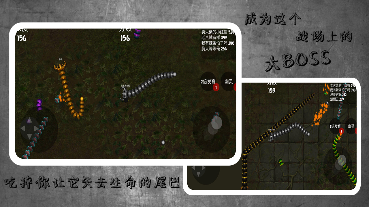 蛇蛇进化作战截图5