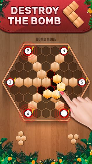 Wooden100Block截图2