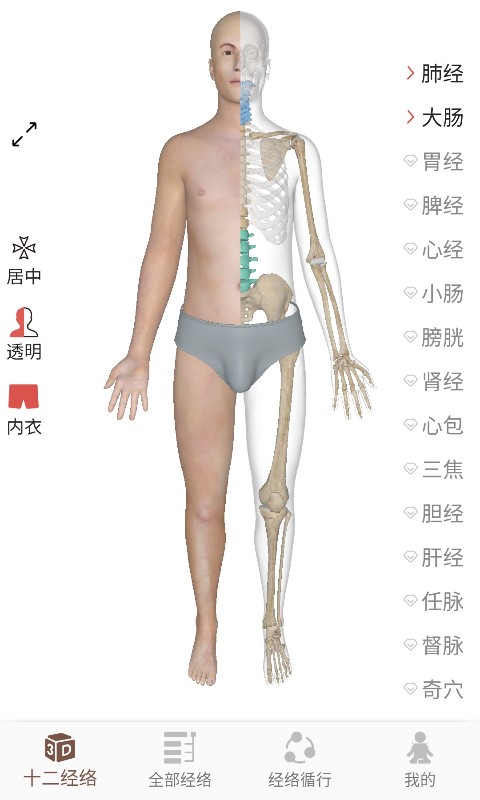 经络穴位3Dv1.0.0截图4