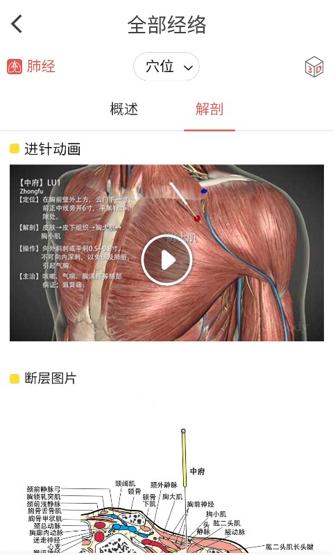 经络穴位3Dv1.1.1截图1