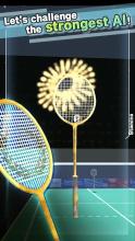 Badminton3D Real Badminton game截图2