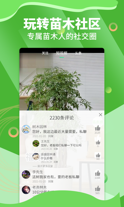 苗木通v5.6截图2