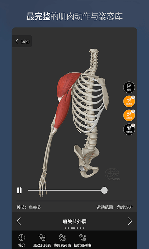 维萨里3D解剖v5.0.0截图3