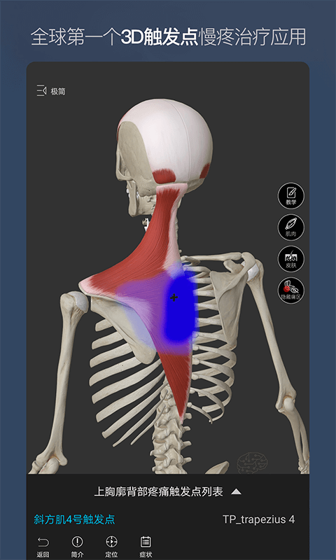 维萨里3D解剖v5.0.0截图2