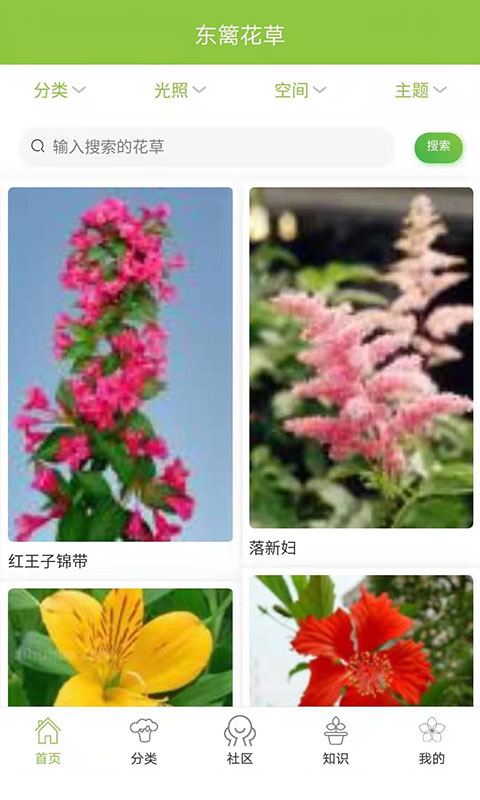 东篱花草v1.1.2截图1