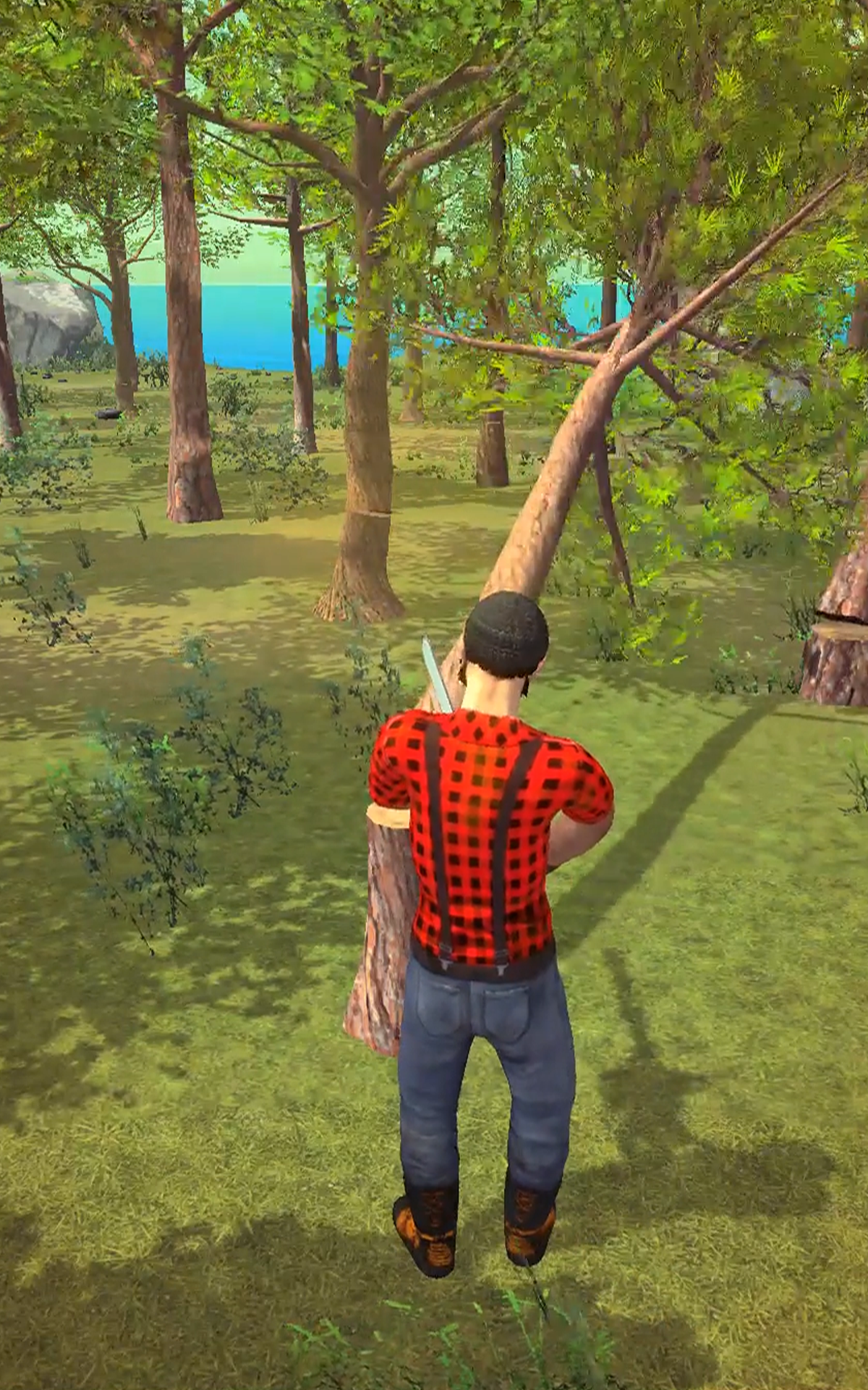 Lumberjack3D截图4