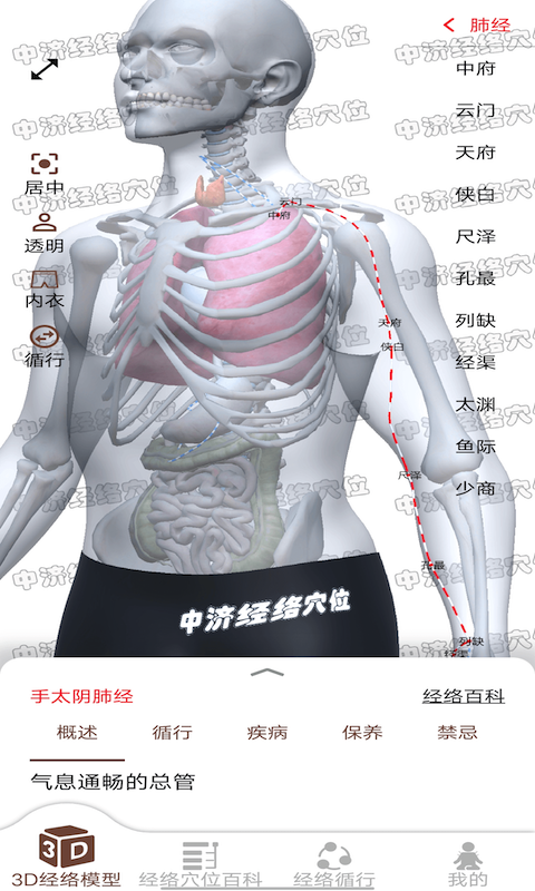 经络穴位3Dv2.1.2截图1