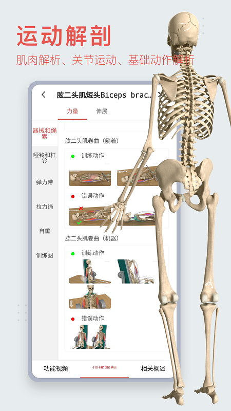 3Dbody解剖v8.5.30截图1