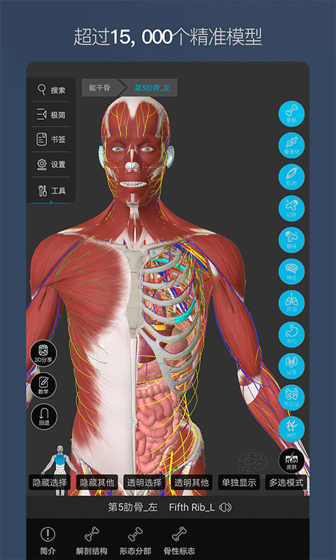 维萨里3D解剖v5.1.0截图1