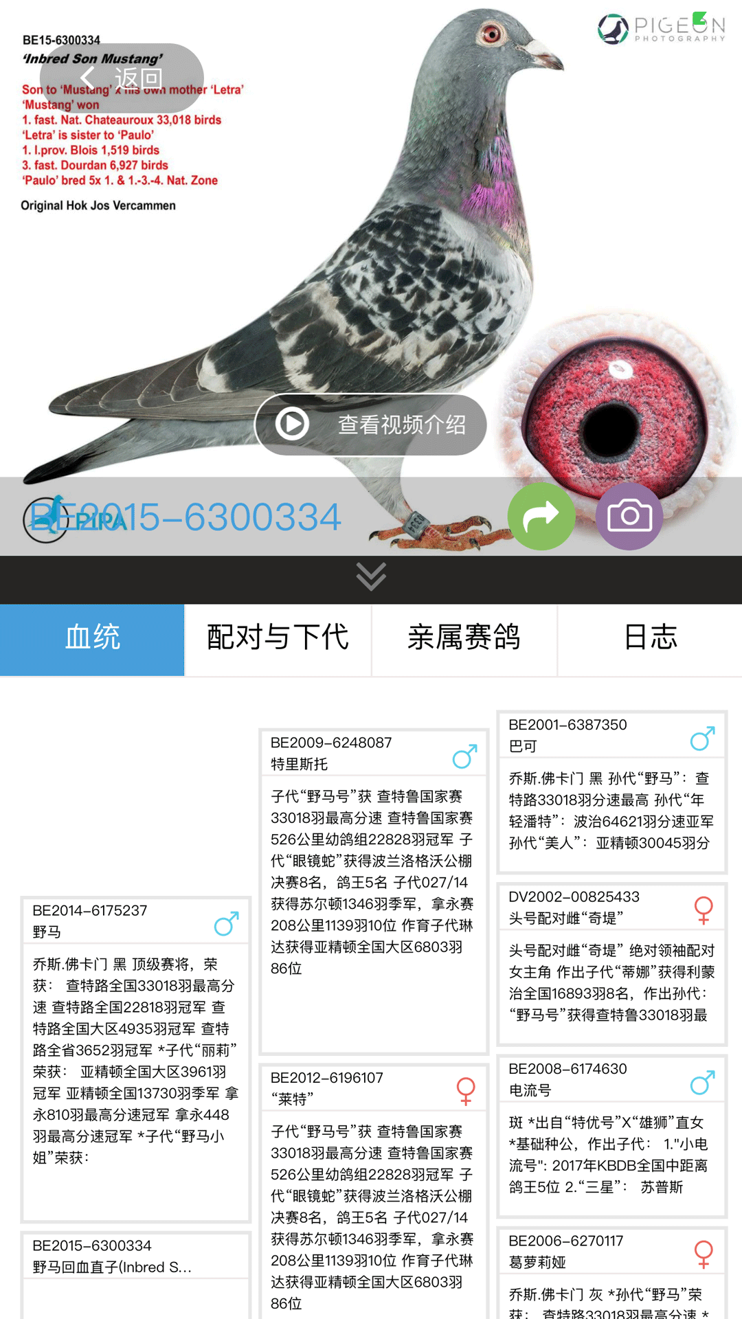 赛鸽云v3.0.5截图2