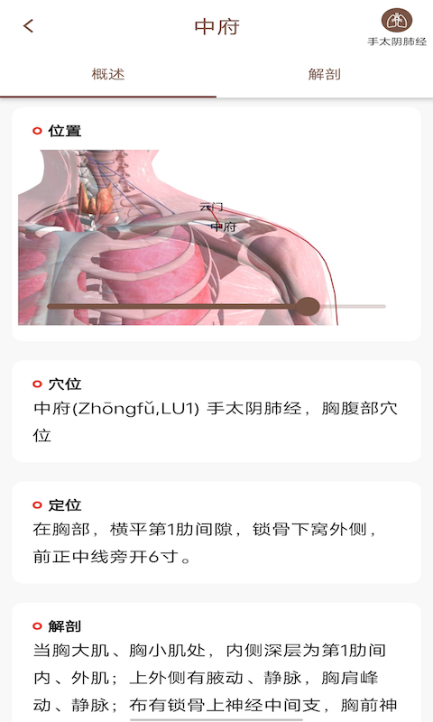 经络穴位3Dv2.2.0截图2