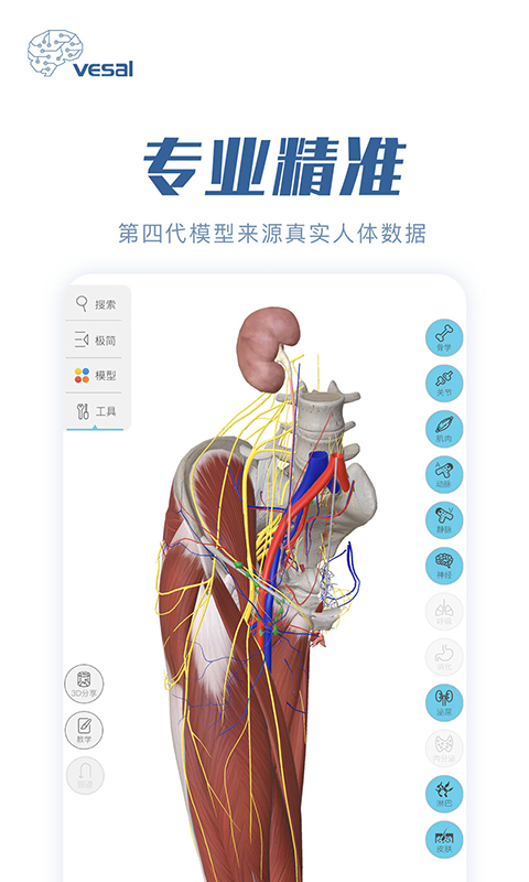 解剖大师v2.4.0截图1