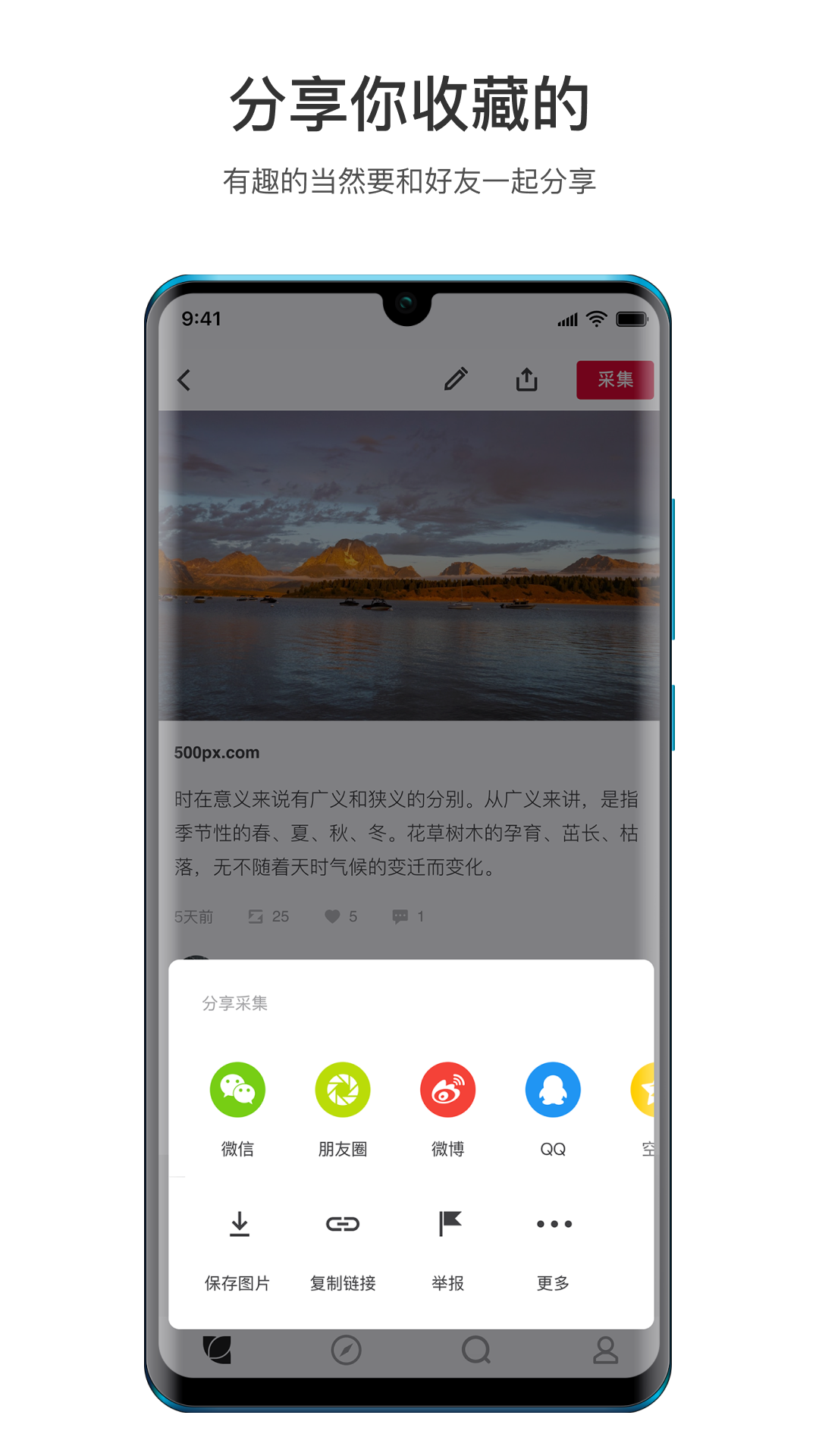 花瓣v4.5.4截图3