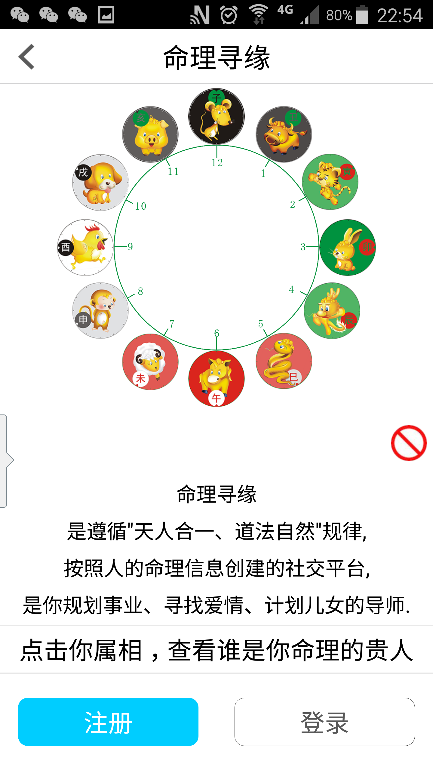 命理寻缘截图1