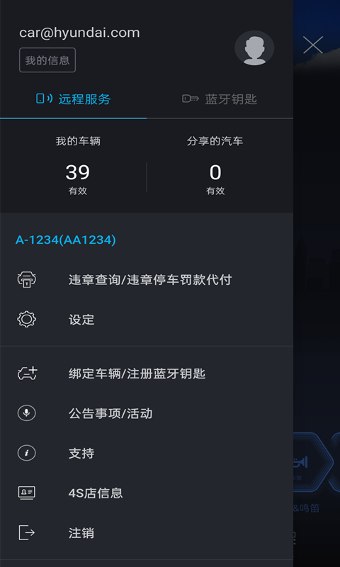 blueLinkv3.03截图1