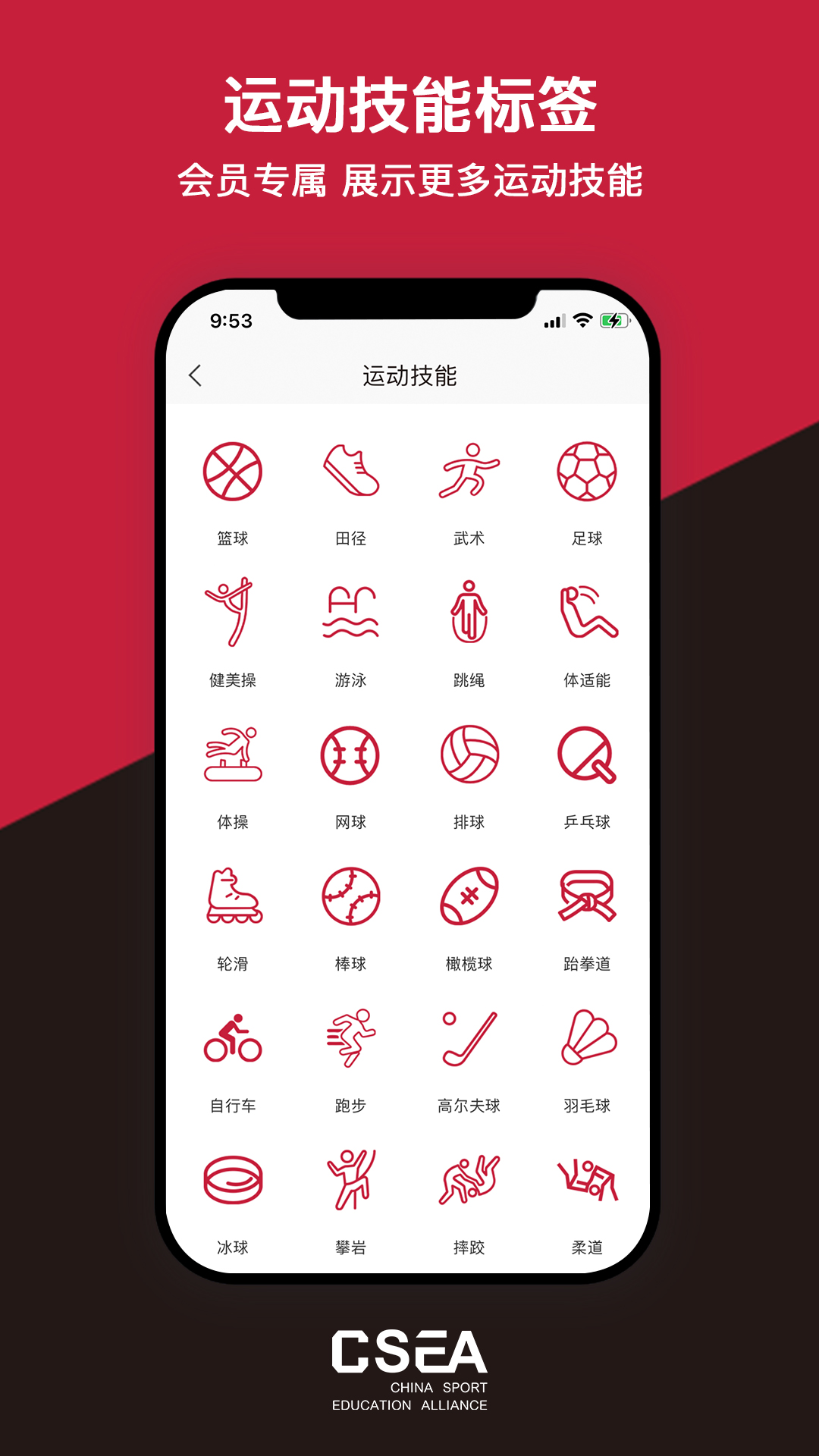 体教联盟v5.3.2截图5