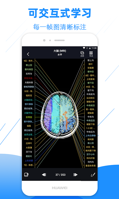 影像解剖图谱v2.3.0截图2