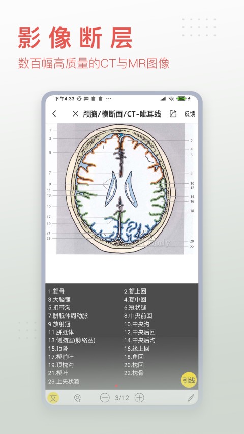 3Dbody解剖v8.5.40截图2