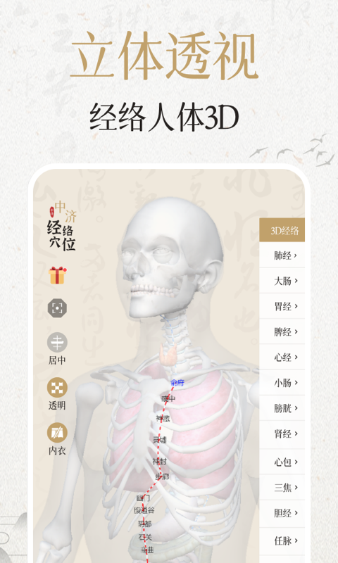 经络穴位3Dv2.3.4截图3