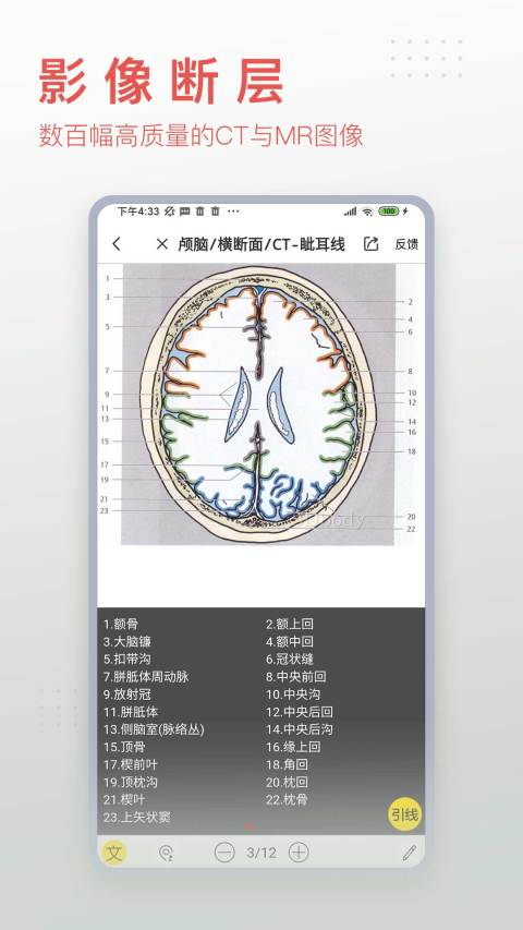 3Dbody解剖v8.5.42截图1