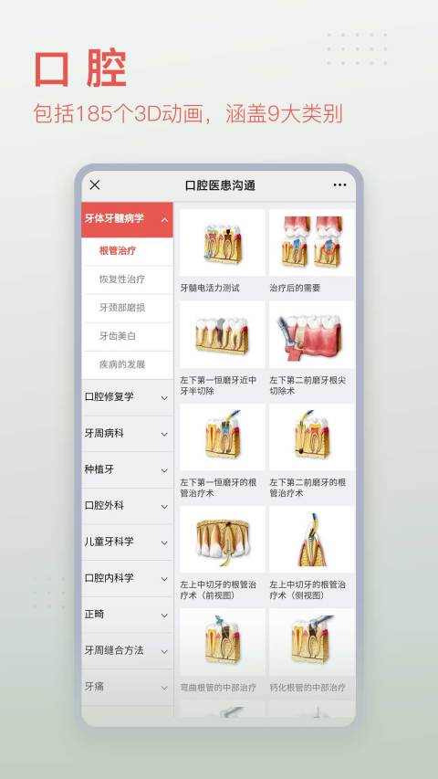 3Dbody解剖v8.5.42截图2