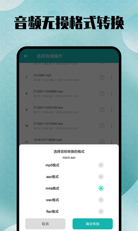 格式转换大师v5.0截图2