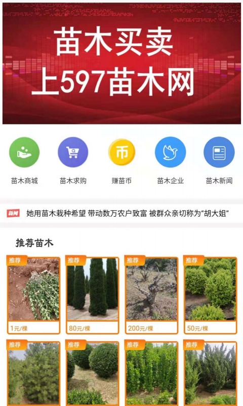 597苗木网v1.3截图3