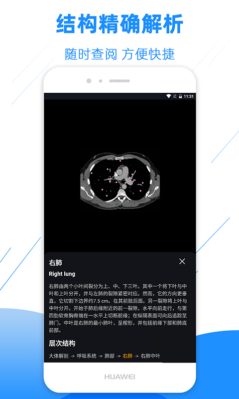 影像解剖图谱v2.6.1截图3