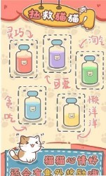 保护猫猫截图3