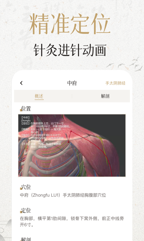 中济经络穴位v2.4.6截图3