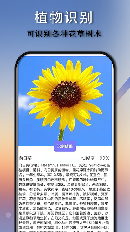 识别王截图3