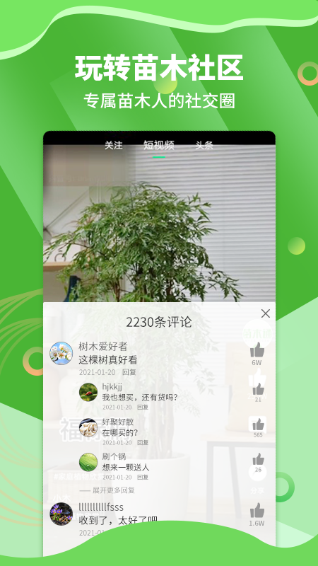 苗木通v5.8.7截图4