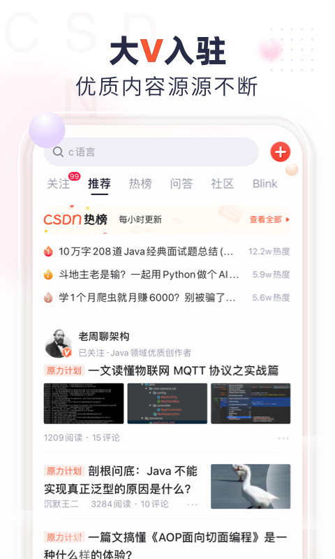 CSDNv4.16.0截图2