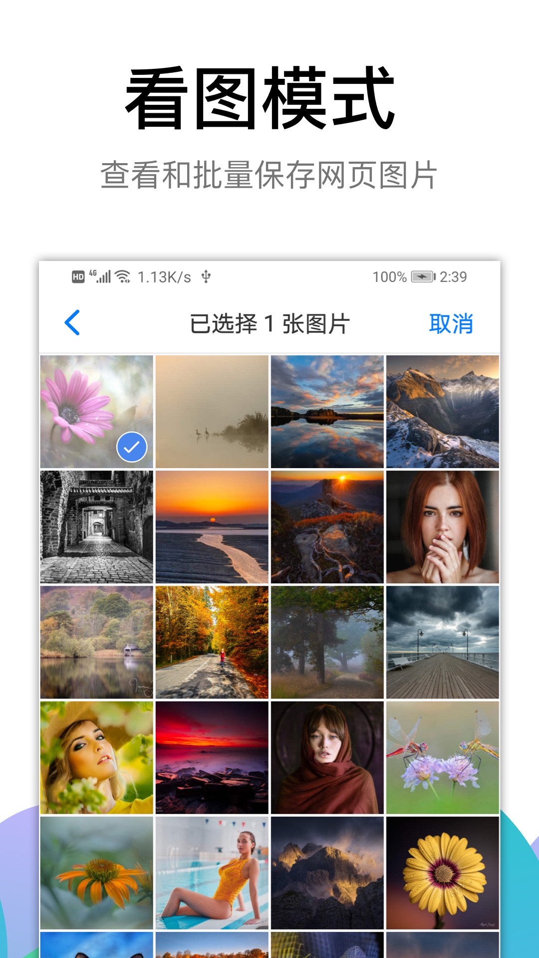 Alook浏览器v3.9截图2