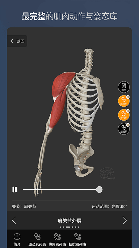维萨里3D解剖v5.4.2截图2