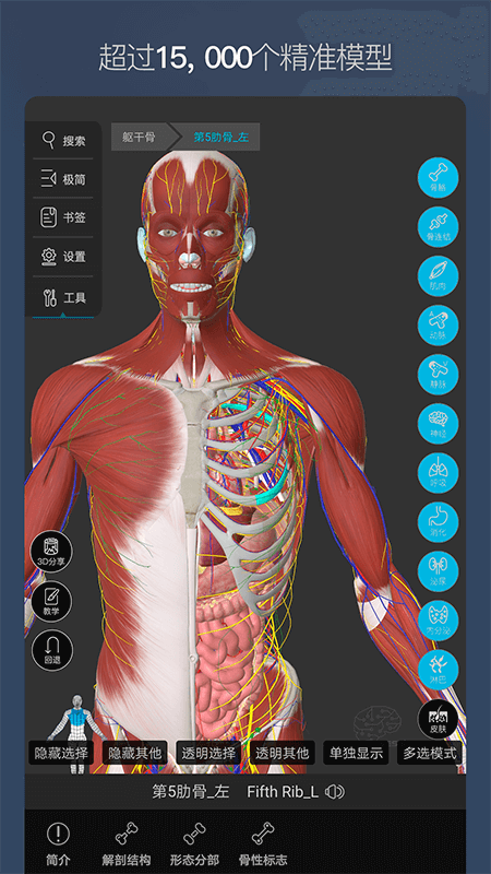 维萨里3D解剖v5.4.2截图5