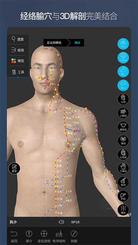 维萨里3D解剖v5.4.2截图4