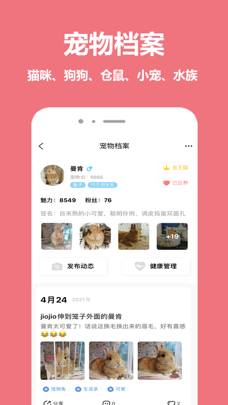 宠物王国v4.0.3截图4