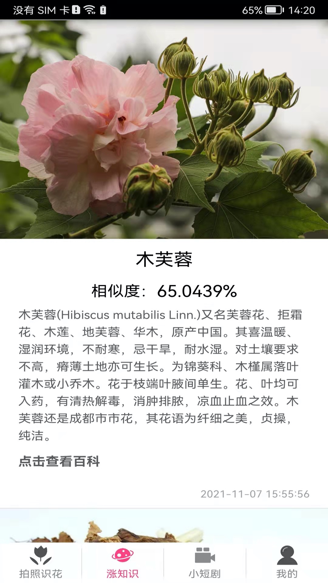 拍照识花神器v5.4.8截图4