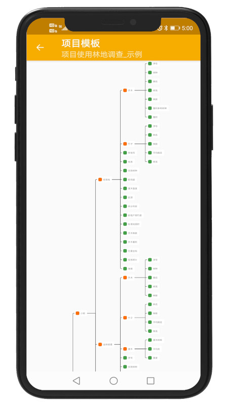 数图v1.0.16截图3