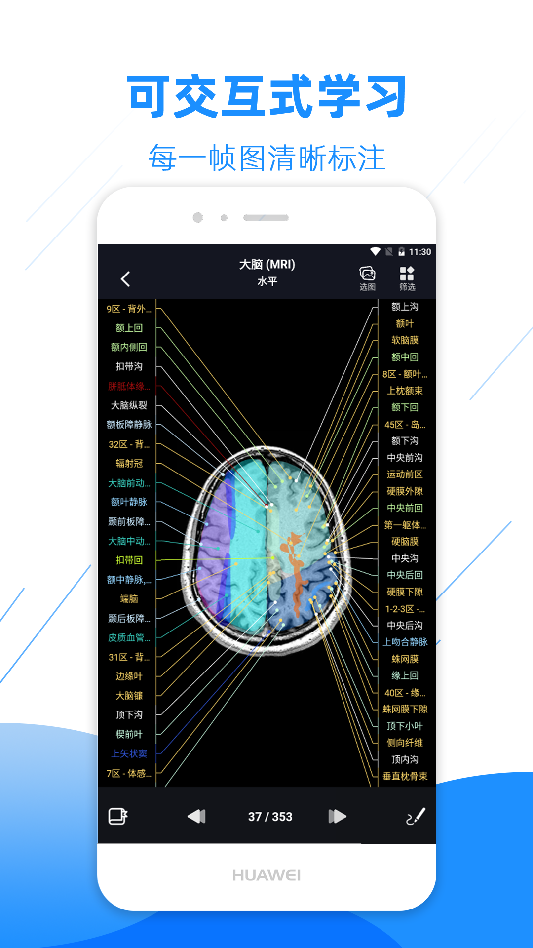 影像解剖图谱v2.9.1截图3