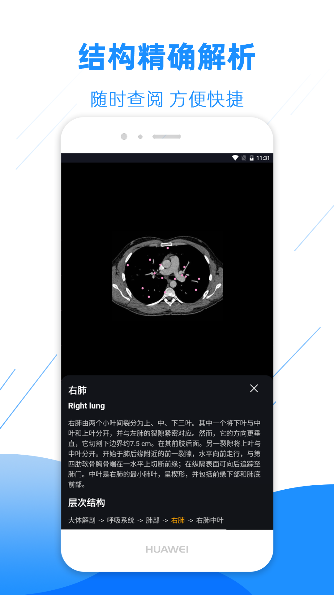 影像解剖图谱v2.9.1截图2