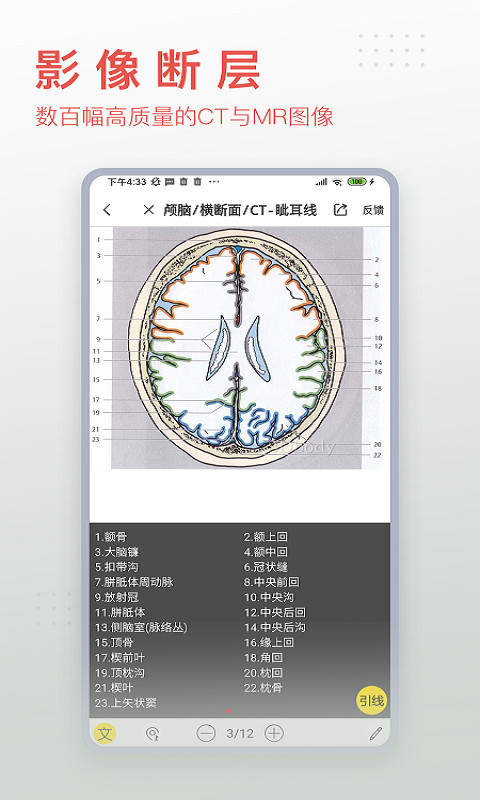 3Dbody解剖v8.6.01截图2