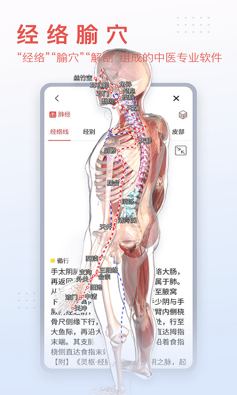 3Dbody解剖v8.6.01截图4