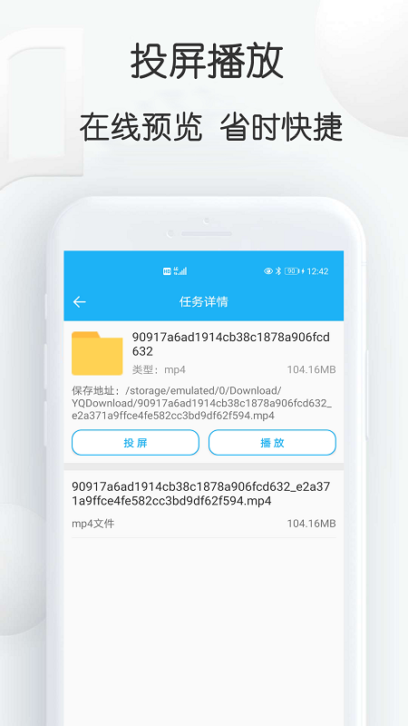 云雀idm网页视频下载器v9.12截图2