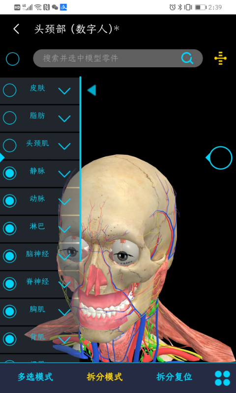 医维度人体解剖v2.3.0截图3