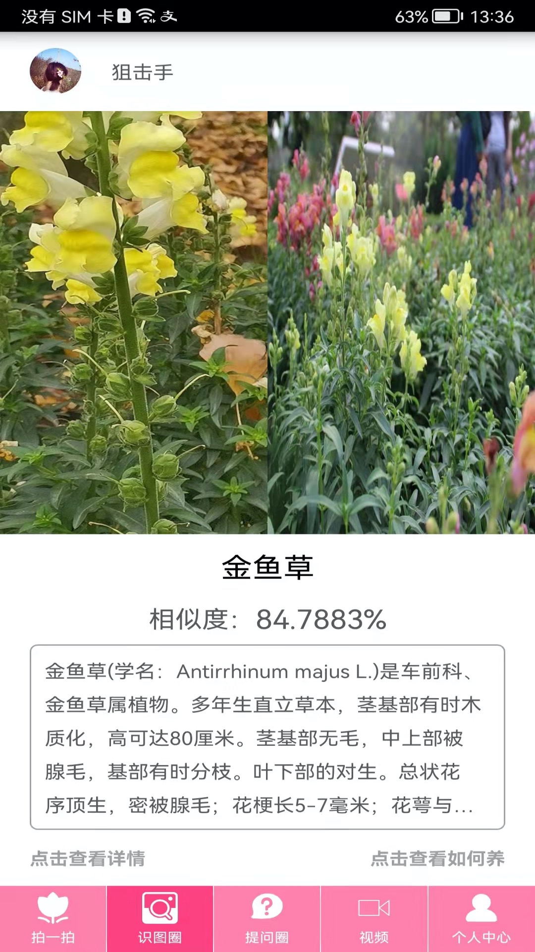 拍照识物v3.0.7截图4